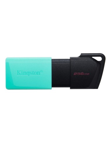 Flash Drive Kingston Dataraveler Exodia M 256GB USB 3.2 DTXM/256GB