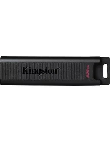 Flash Drive Kingston DataTraveler Max 256GB Type-C DTMAX/256GB
